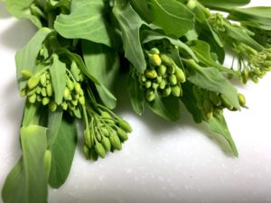 レシピ付 チンゲン菜のとう立ち菜花とは 調理法も紹介 スーママログ